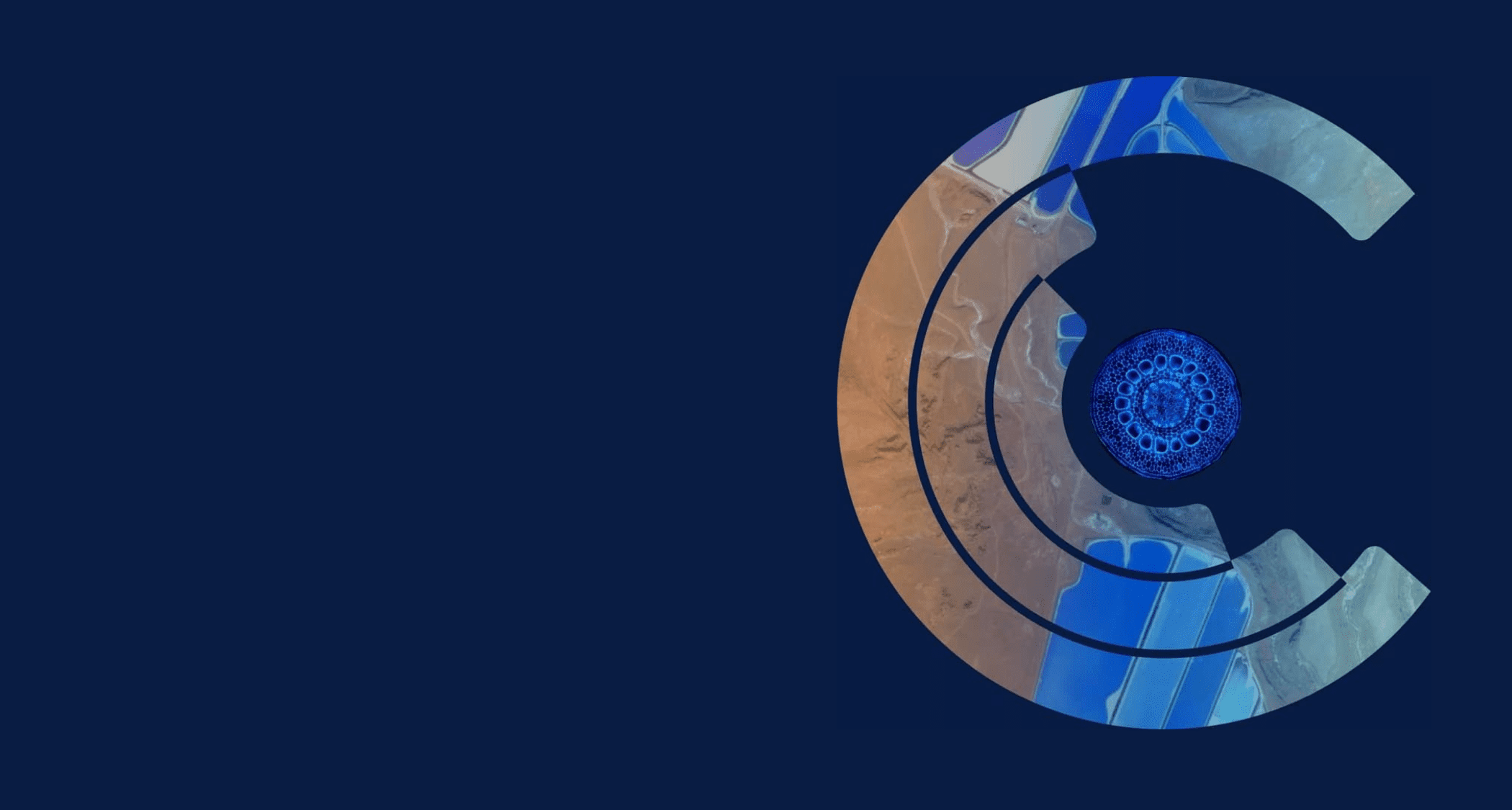 Keyvisual Cambrian - Verve Ventures portfolio