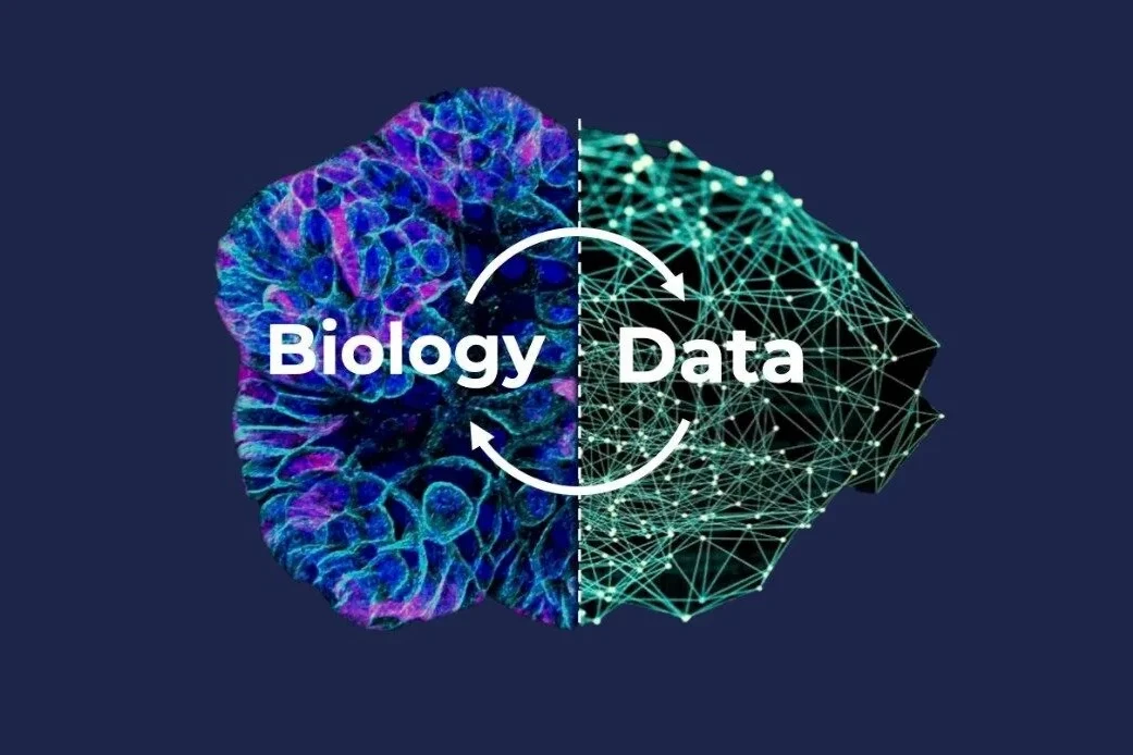 Programmable Biology